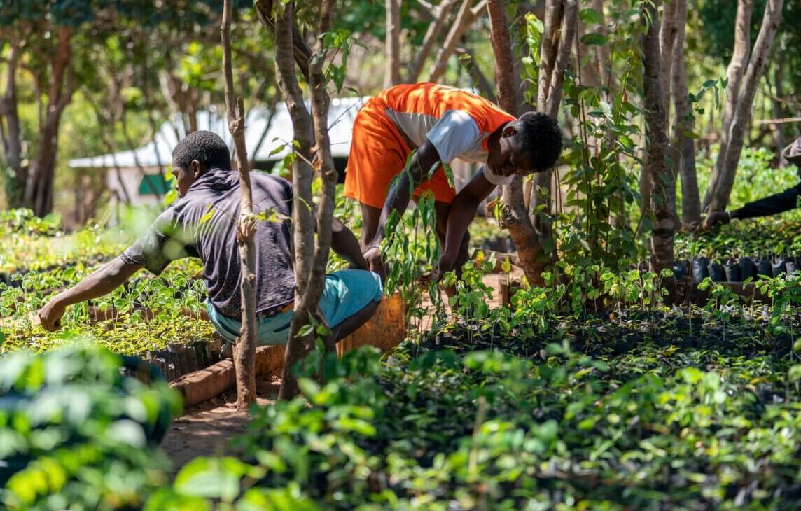 Environmental Charity - Nonprofit Programs in Madagascar Environmental Charity - Nonprofit Programs in Madagascar