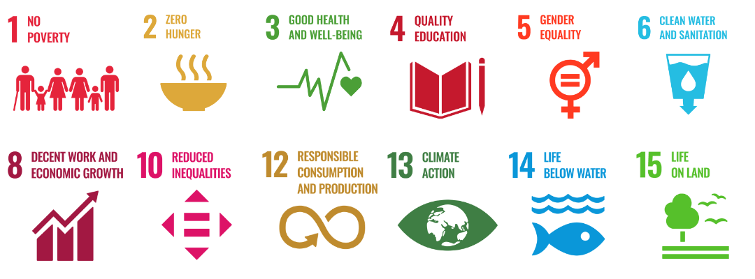 Offset Your Carbon Footprint - Impact 12 UN Sustainable Development Goals