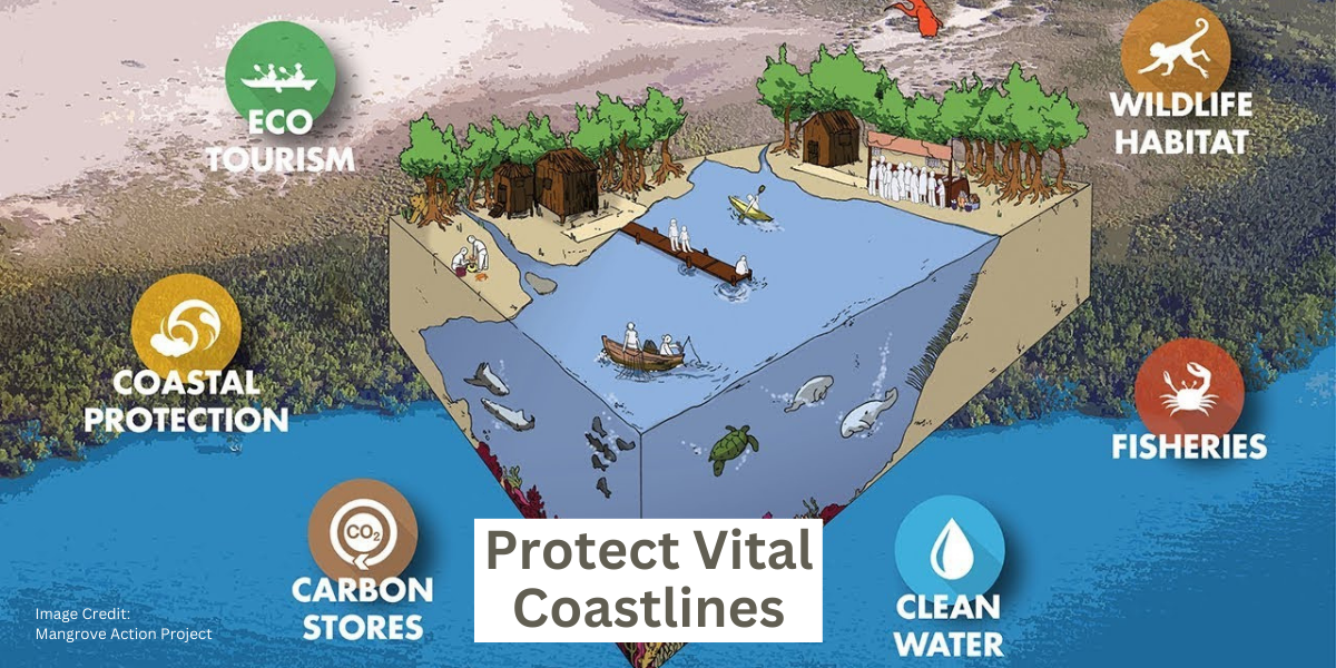 Climate Change Action Plan 🌍 Personal 4-in-1 Climate Action