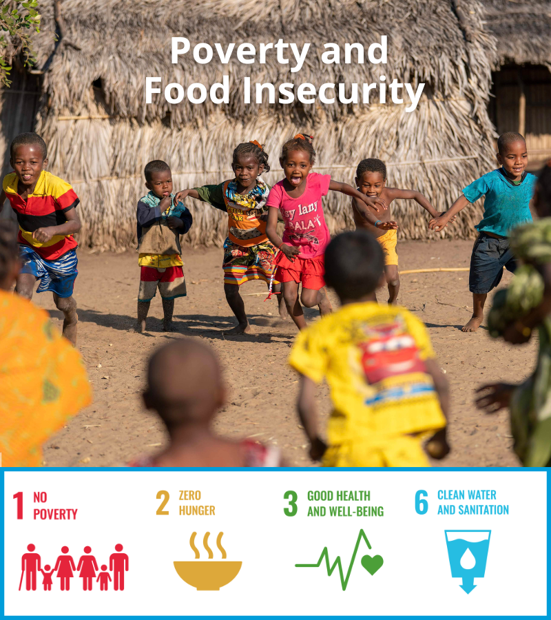 Impact UN Sustainable Development Goals - SDG 1, 2, 3, 6