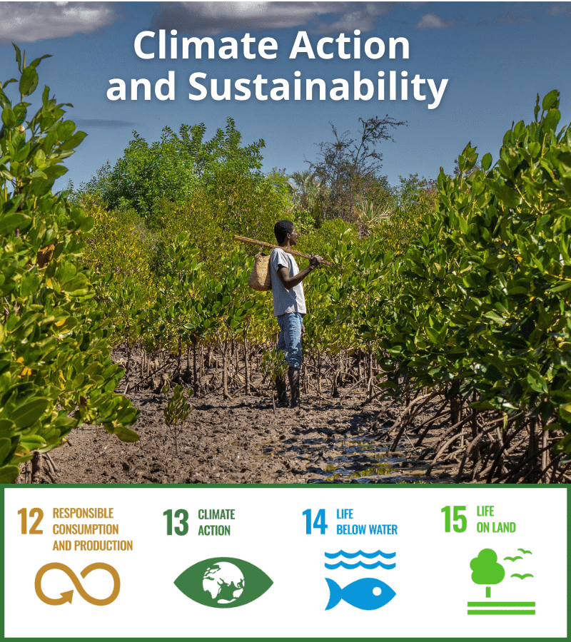 Impact UN Sustainable Development Goals - SDG 12 & 13