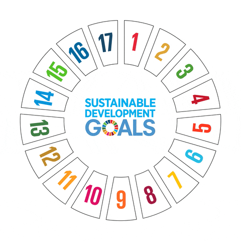 Impact UN 2030 Sustainable Development Goals