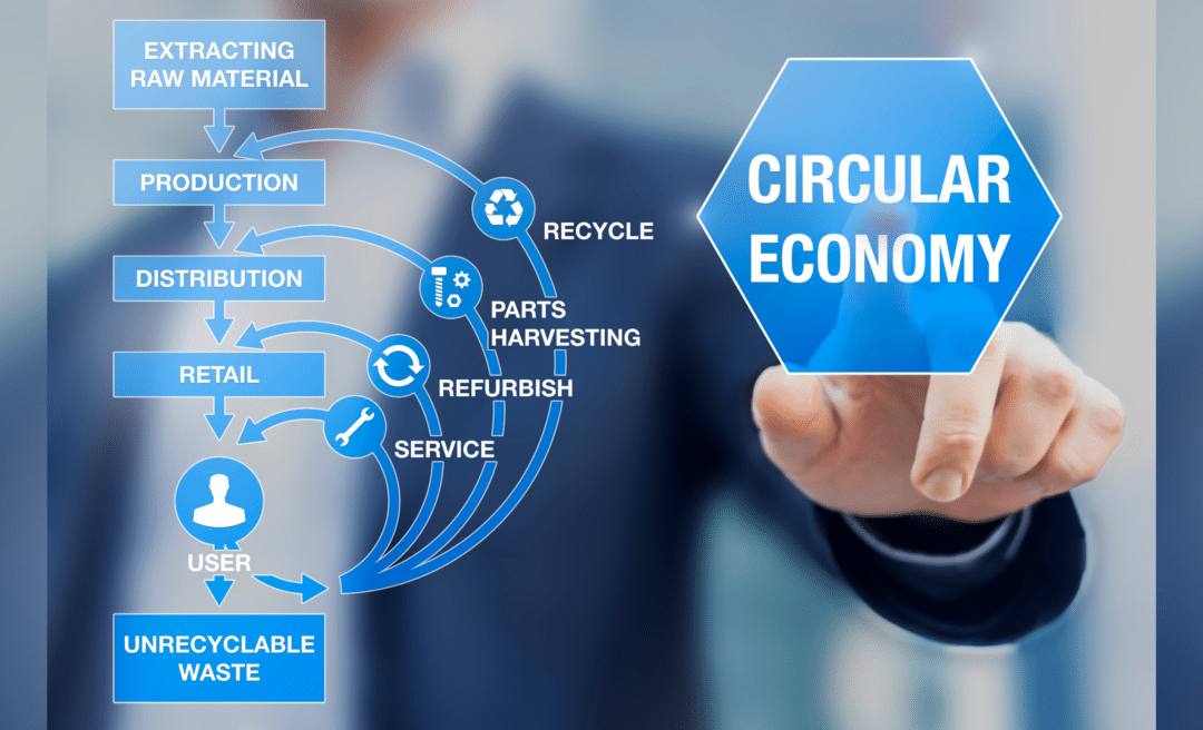 Exploring the Circular Economy - Living a Sustainable Lifestyle