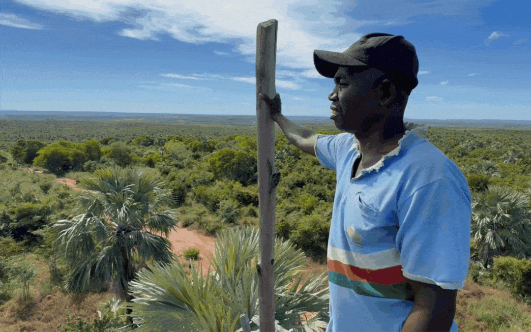 Environmental Donations for a Forest Conservation Project