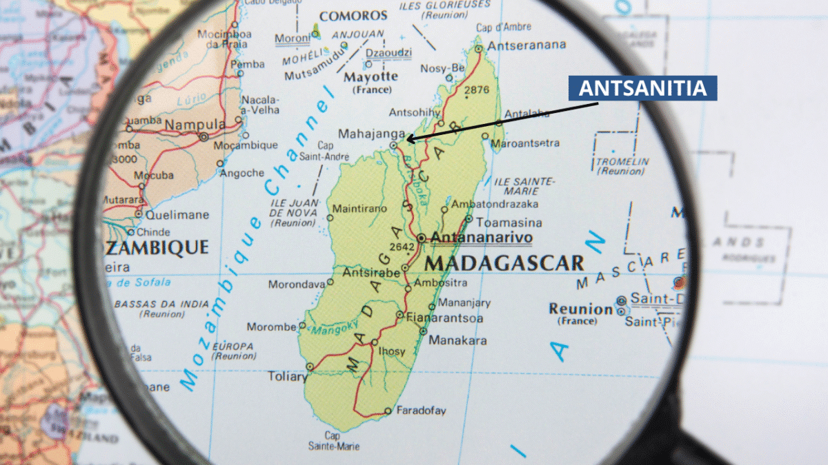 Process of Restoring Mangroves - Donate to Mangrove Restoration