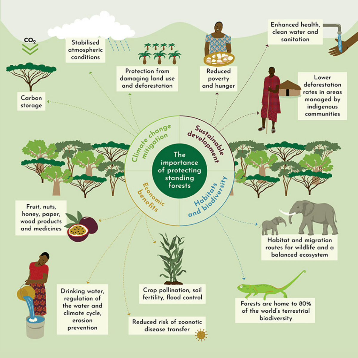 Extreme Poverty Charity Programs - Environmental Nonprofit Programs