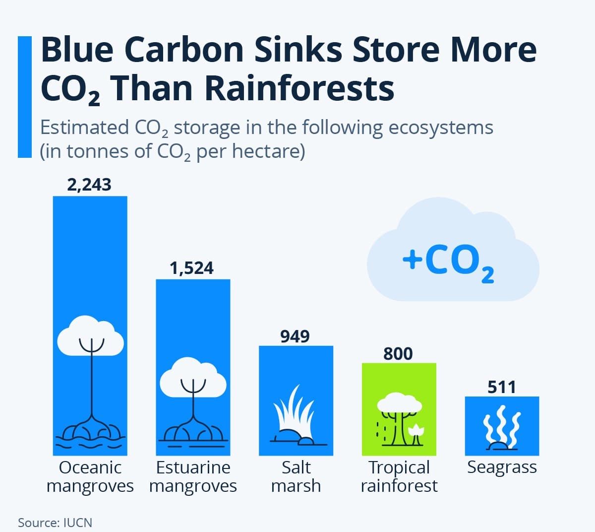 Offset Your Carbon Footprint - Use Blue Carbon for Removing CO2