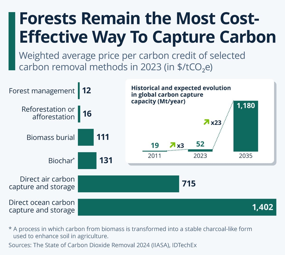 Plant Trees to Offset Your Carbon Footprint - 10-in-1 Climate Change Action Plan