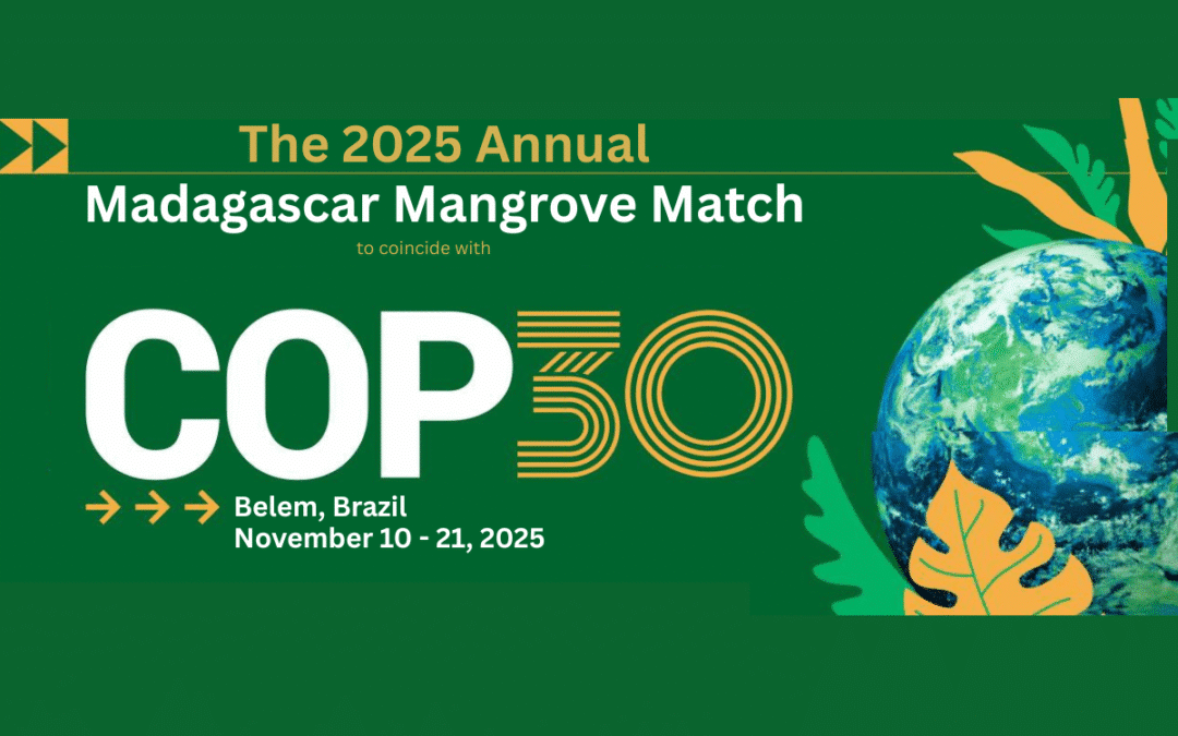 COP 30 Mangrove Match - Restoring Mangrove Forests