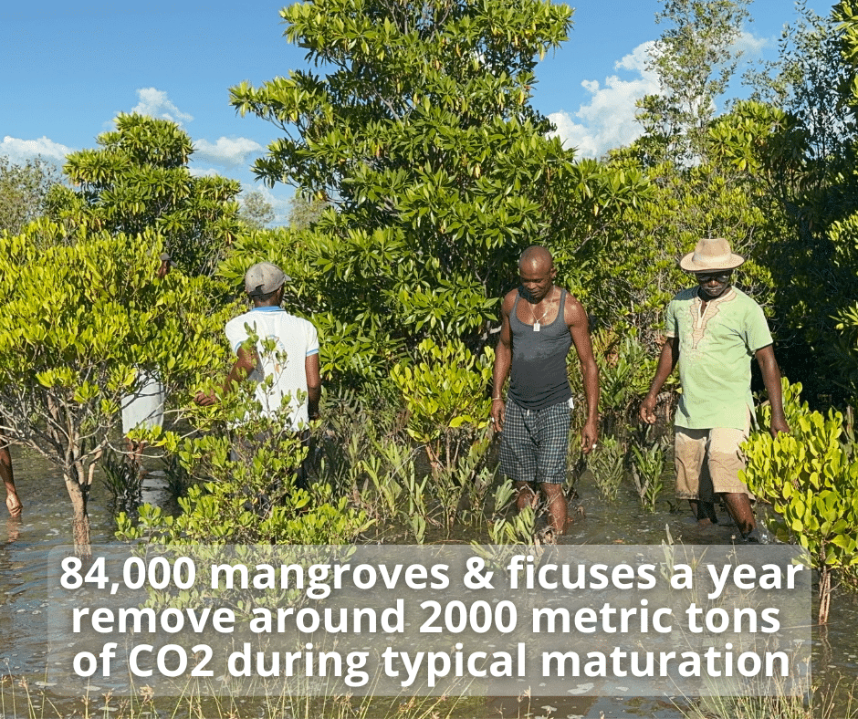 Environmental Action Plan - Climate Action Plan