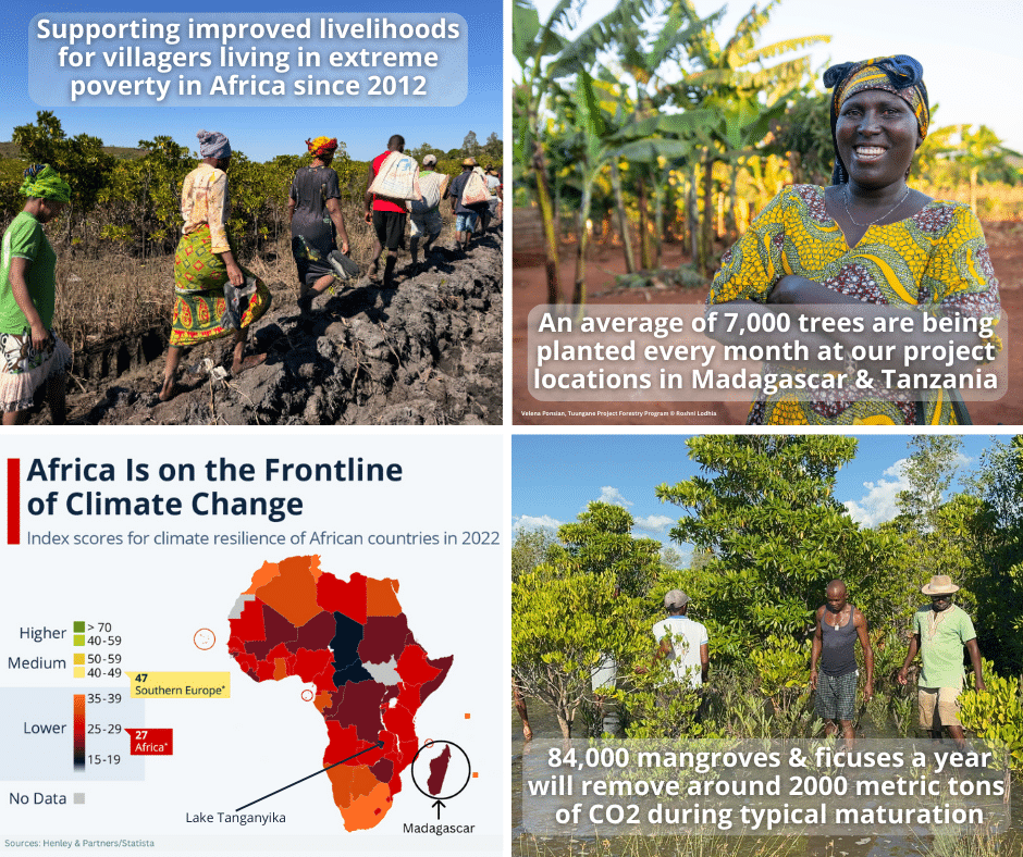 Environmental Nonprofit Programs to Alleviate Poverty by Restoring Nature