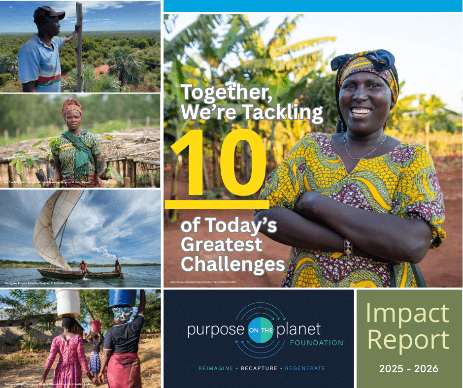 Environmental Nonprofit Organization - Nonprofit Impact Report