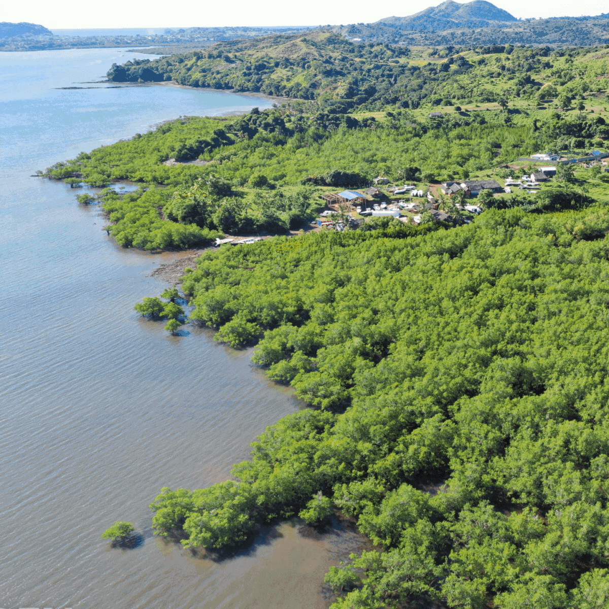 Restoring Wetlands on World Wetlands Day
