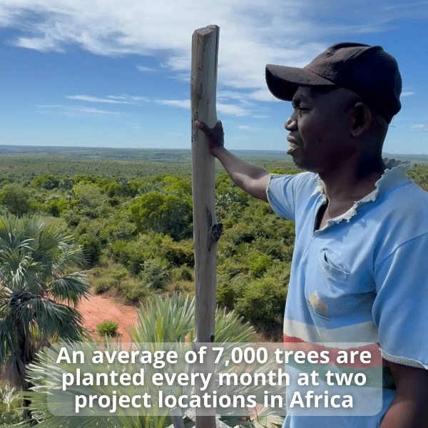 Best Tree Planting Charity Organization - Donate to Plant Trees