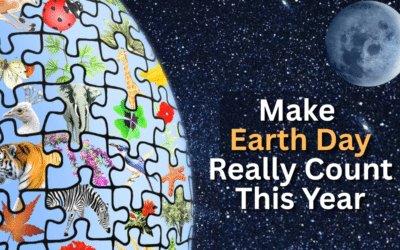 Earth Month is Your Time to Act. Join the Earth Day Challenge!