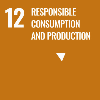 Impact 2030 Goals & SDG Targets - SDG 122 Impact 2030 Goals & SDG Targets - SDG 12
