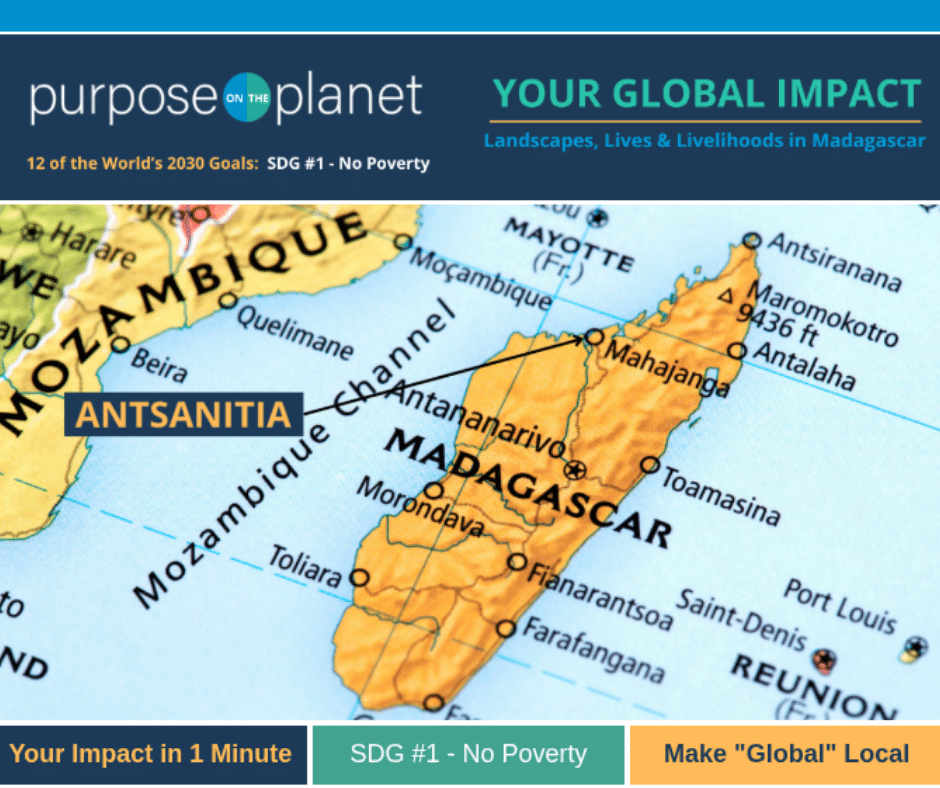 Your Global Impact - 12 Sustainable Development Goals