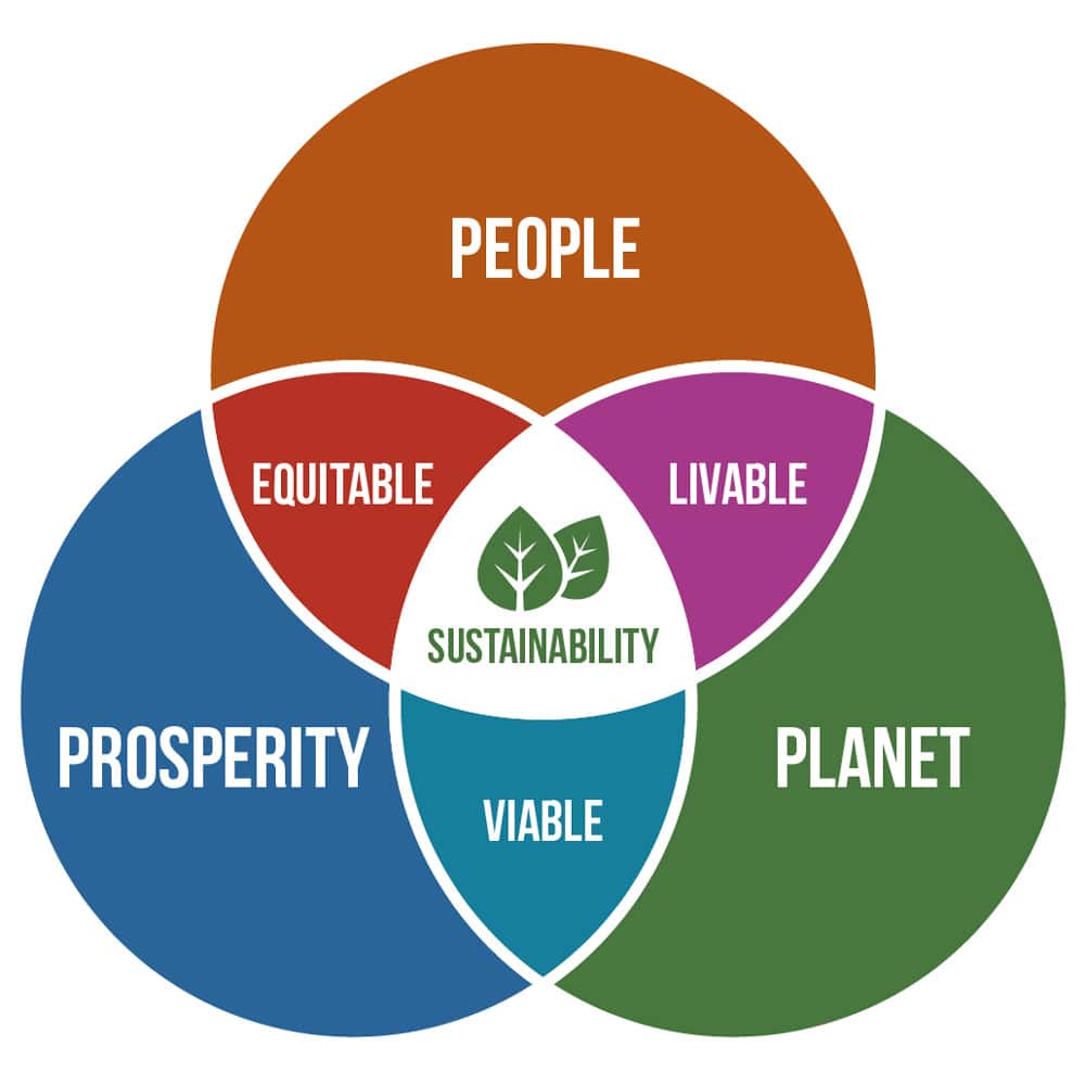 Employee Engagement Programs for ESG Sustainability Purposes